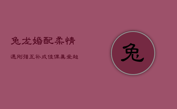 兔龙婚配：柔情遇刚强，互补成佳偶，真爱超越差异  第1张